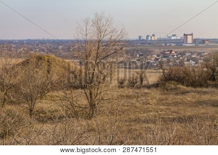 Winter Tavrian Steppe
