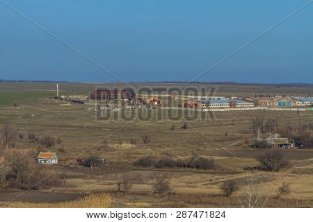 Winter Tavrian Steppe