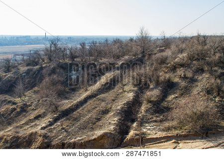 Winter Tavrian Steppe