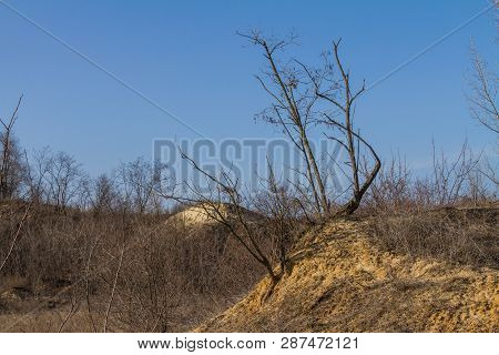 Winter Tavrian Steppe