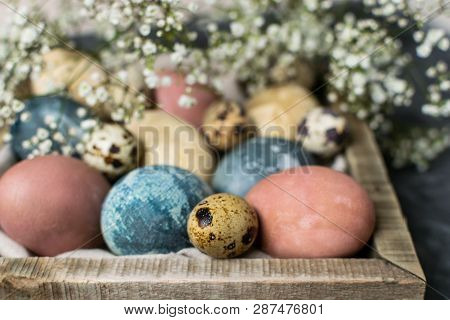 Spring Easter Minimal Background Rustic Style Composition - Organic Naturally Dyed Easter Eggs