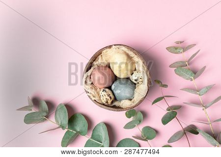 Selective Focus Of Coloured Decorated Easter Eggs In Coconut Shell, Eucalyptus Branch
