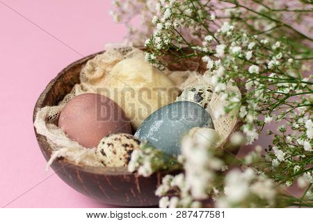 Selective Focus Of Coloured Decorated Easter Eggs In Coconut Shell, Gypsophila Flowers