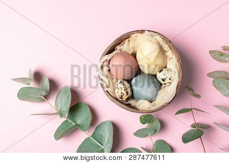 Selective Focus Of Coloured Decorated Easter Eggs In Coconut Shell, Eucalyptus Branch