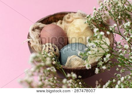 Selective Focus Of Coloured Decorated Easter Eggs In Coconut Shell, Gypsophila Flowers
