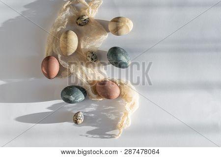 Easter Celebration Minimal Concept - Naturally Coloured Easter Eggs In Trendy Hard Direct Sunlight