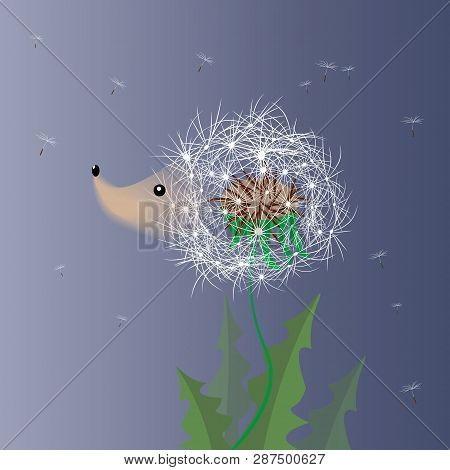 Vector Cute Carton Hedgehog-dandelion. Vector Hedgehog. Hedgehog Vector Illustration