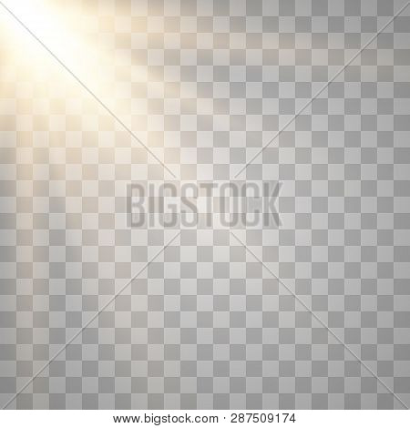 Sunlight Lens Flare Light Effect. Bright Beautiful Star. Vector Illustration Eps10