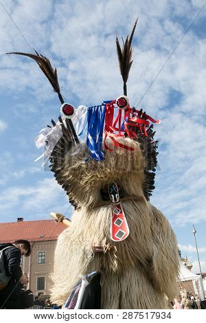 Ljubljana, Slovenia / Slovenia - February 02 2019: Carnival In Slovenia With Some Traditional Sloven