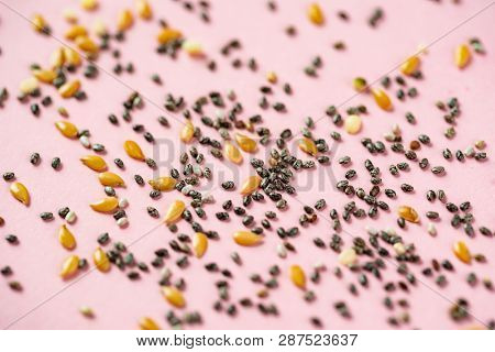 Healthy superfood:  flax seeds, chia seeds and hemp shelled seed on pink background