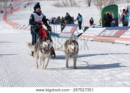 Petropavlovsk Kamchatsky City, Kamchatka Peninsula, Russian Far East - February 21, 2019: Running Hu