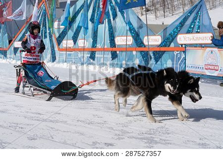 Petropavlovsk Kamchatsky City, Kamchatka Peninsula, Russian Far East - February 21, 2019: Running Hu