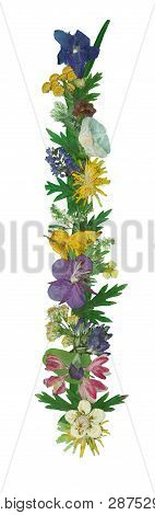 Bouquet Of Dried Pressed Flowers Isolated On White Background. For Use In Floristics, Scrapbooking A