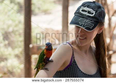 Kibutz Nir David, Israel, June 10, 2017 : Parrot Sits On The Hand Of A Young Woman At The Australian