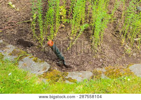 Metal Spate In Garden Bed Urban Gardening