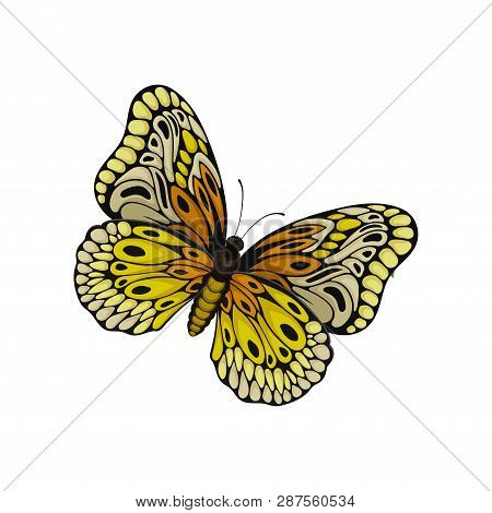 Flat Vector Of Butterfly With Beautiful Pattern On Wings. Flying Insect. Nature And Entomology Theme