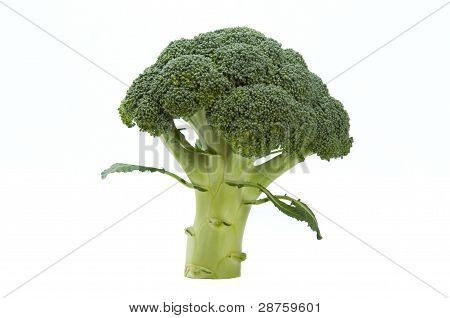 Broccolli
