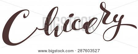 Chicory Hand Written Type Text Ornate Lettering