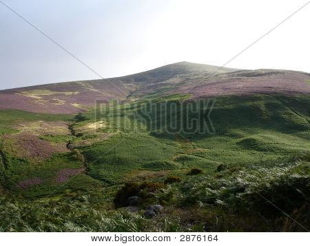 Wicklow hul