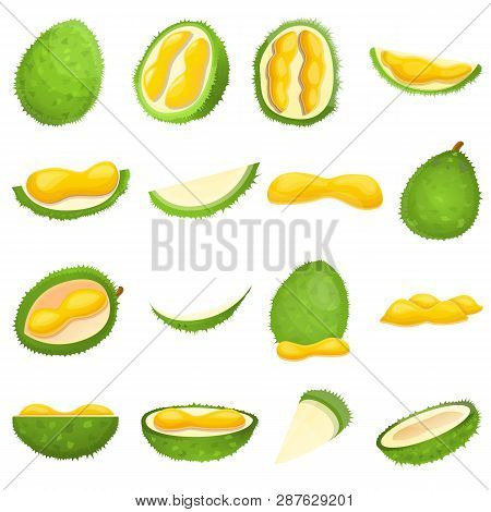 Durian Icons Set. Cartoon Set Of Durian Vector Icons For Web Design