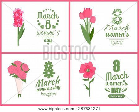Greeting Postcard Of Womens Day Decorated By Pink Flowers, Bouquet Or Flavor With Best Wishes, Paper