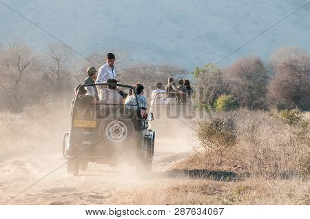 Ranthambore, India - February 4, 2011: Safari Drive On A Dusty Road In Ranthambore National Park. Th