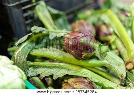 Artichokes On Local Farmer Market In Italy