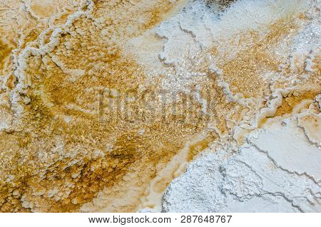 Travertine Depositions Of Minerva Terrace Hot Springs In Yellowstone National Park, Usa
