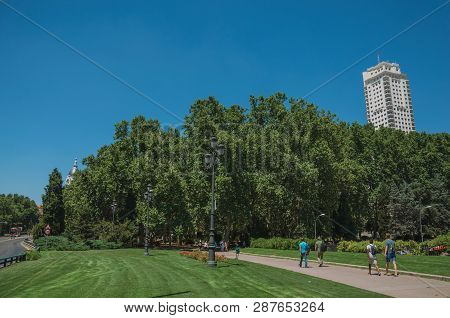 People Walking Towards Grove On The Spain Square At Madrid