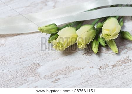 White Blooming Rose Buds On Wooden Table With Copy Space. Tender Roses And Ribbon.