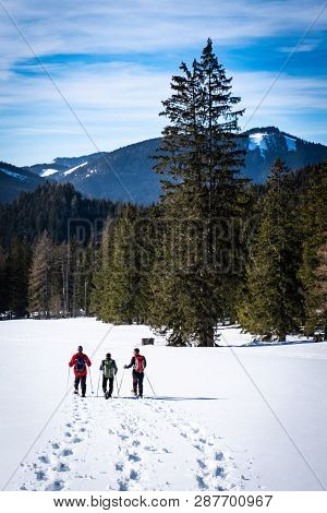 Group Of Adults Snowshoeing Thruogh A Field Near A Forest On Snowy Plateau Kaiserau With Mountain Ro