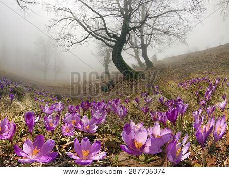 After A Winter