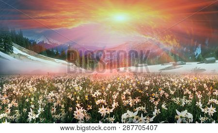 In March-april After A Winter In The Mountains Of Unstable Weather, And Replaced By The Warmth, The 