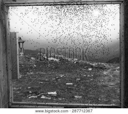 Old Photo. In Areas With Poor Ventilation And The Environment Violated Health Standards And Bred Har