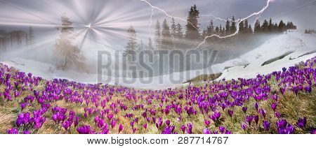 In March-april After A Winter In The Mountains Of Unstable Weather, And Replaced By The Warmth, The 