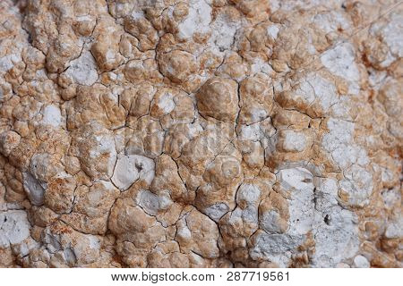 Close Up Of Meerschaum Surface. Fluffy, Cracked, Lime Surface