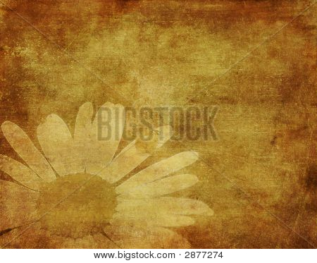 Grunge immagine di una coccinella arrampicata Cammomile fiore
