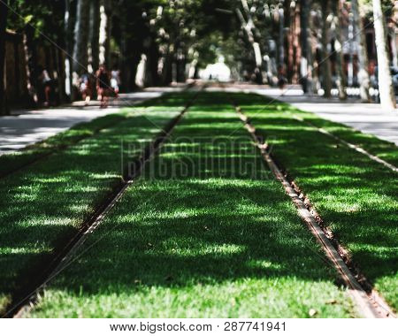 View From The Ground Of Two Tramway Tracks Stretching Into The Vanishing Point Inside The Alleyway, 