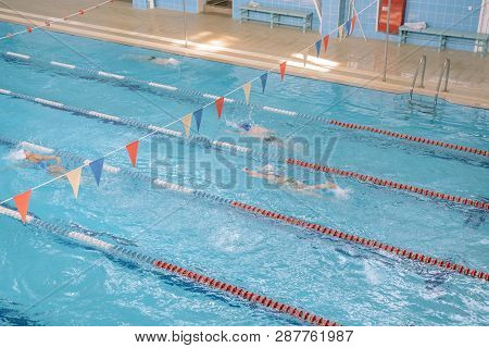 Swim In Swiming Pool. Closed Pool. Swim For Speed. Swimming Competition.