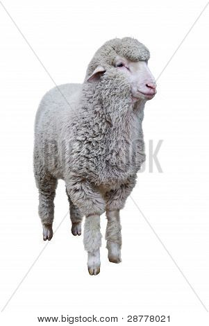 Mladí Ram