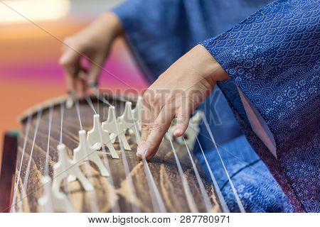Woman Playing Traditional Japanese Harp - Koto, Only Hands Shown