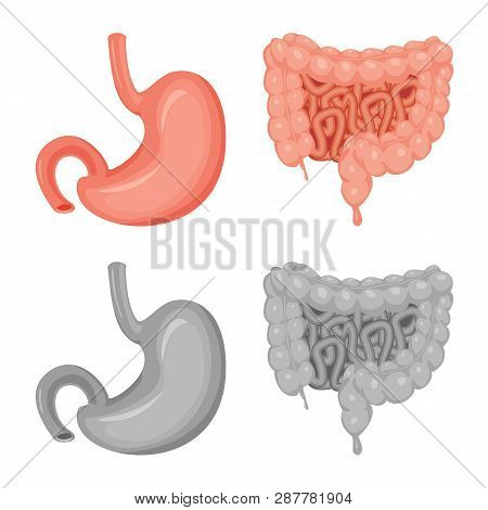 Vector Illustration Of Body And Human Logo. Collection Of Body And Medical Stock Vector Illustration