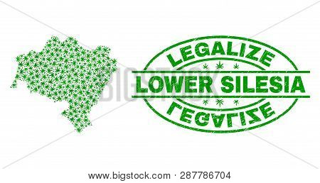Vector Cannabis Lower Silesia Province Map Collage And Grunge Textured Legalize Stamp Seal. Concept 