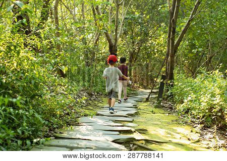 Back Portrait Of Sister And Brother Walking In The Trail For Surveying The Natural Fieldwork. Outdoo
