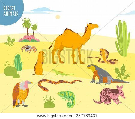 Vector Collection Of Flat Hand Drawn Desert Animal, Reptiles, Insects: Camel, Snake, Lizard Isolated
