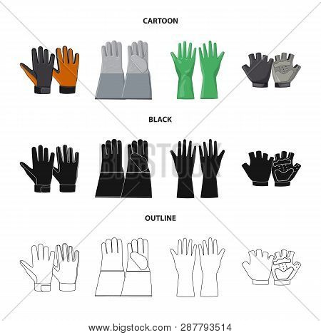 Vector Illustration Of Glove And Winter Icon. Collection Of Glove And Equipment Stock Vector Illustr