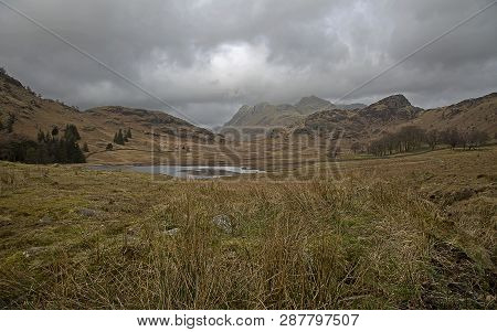 Blea Tarn and the Langdale Pikes in the Lake District Cumbria England