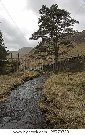 Blea Tarn and the Langdale Pikes in the Lake District Cumbria England