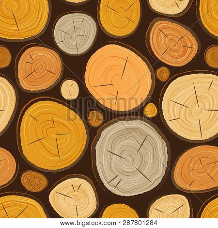 Vector Tree Wood Slice Texture Circle Cut Wooden Raw Material. Plant Years History Textured Rough Fo