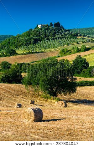 Haycock And Trees In Sunny Tuscan Countryside Near Massa Marittima, Italy